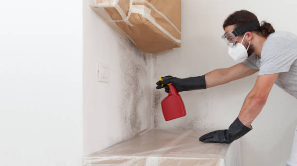 Professional Mold Remediation technician working in Garrett, TX