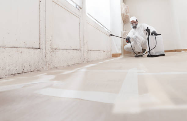 24/7 Emergency Mold Remediation experts in Garrett, TX