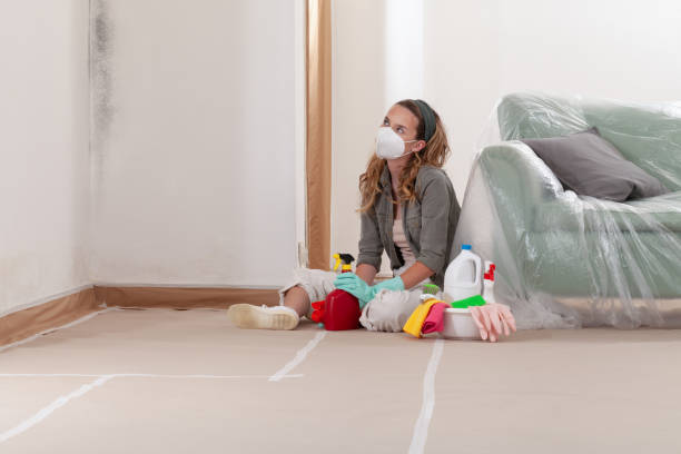 Reliable Mold Remediation contractor in Garrett, TX by Car Mold Remediation
